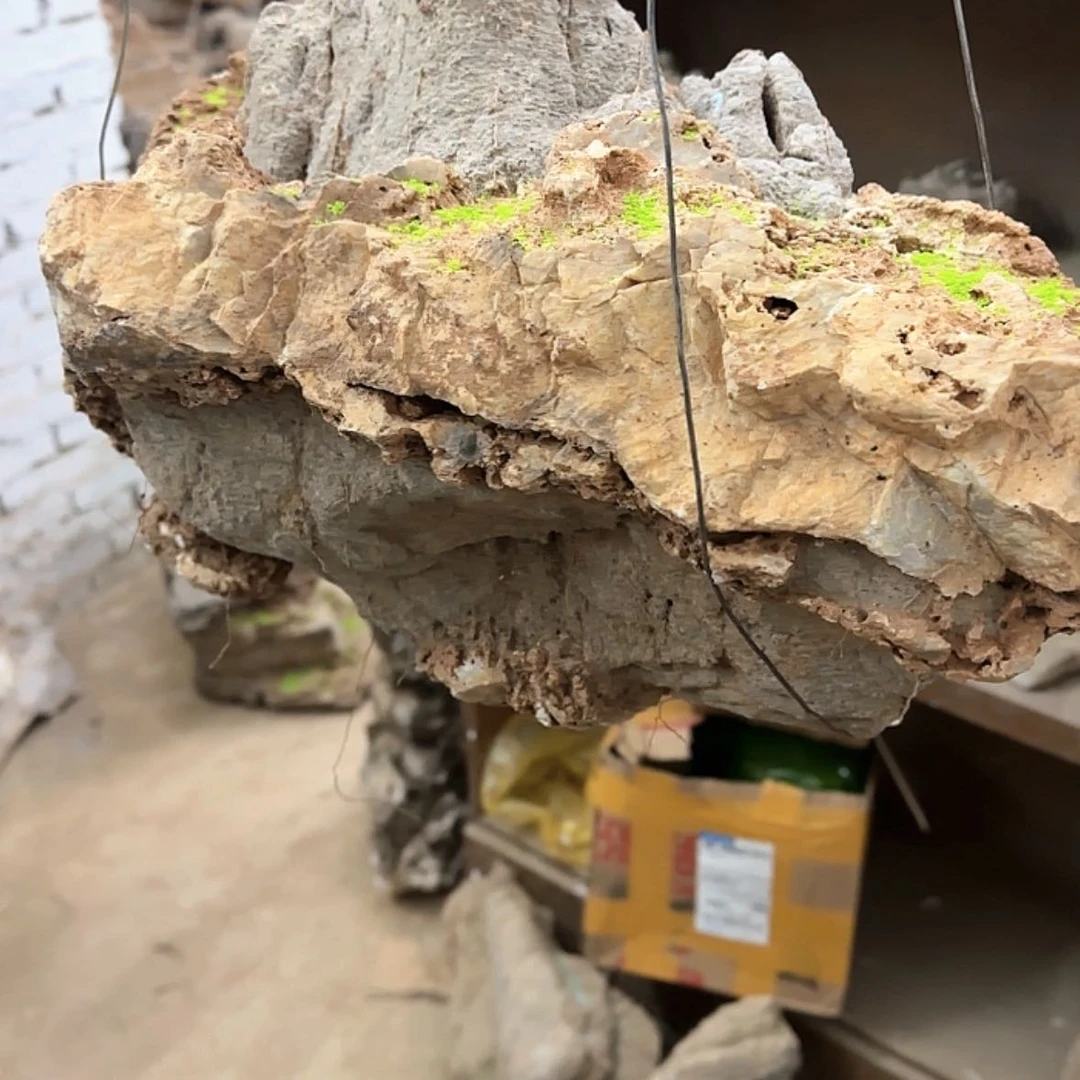 【闪购商品】香榧木红***客出来就觉得有很多问题是你