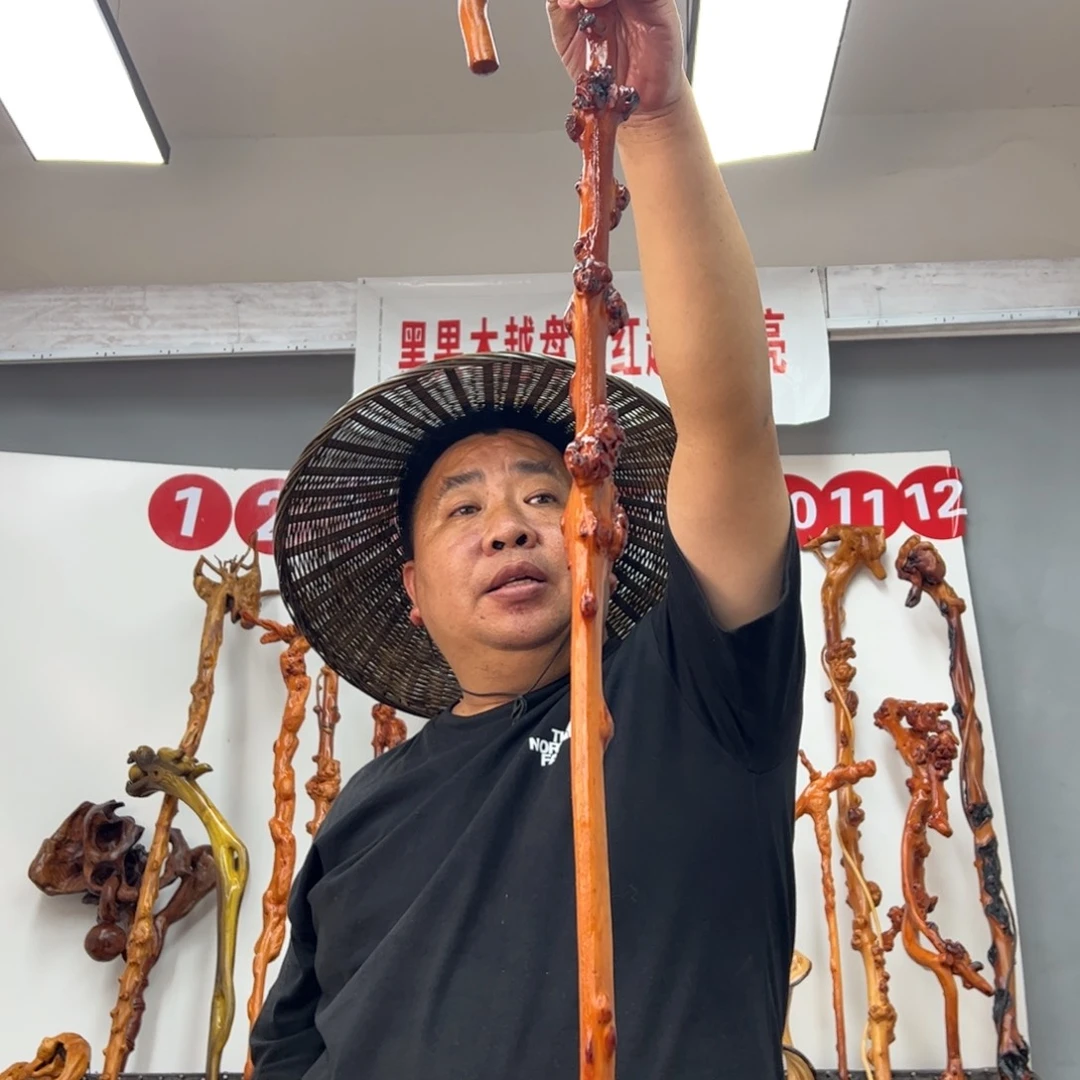 大***沙黑果木其他黑果木867