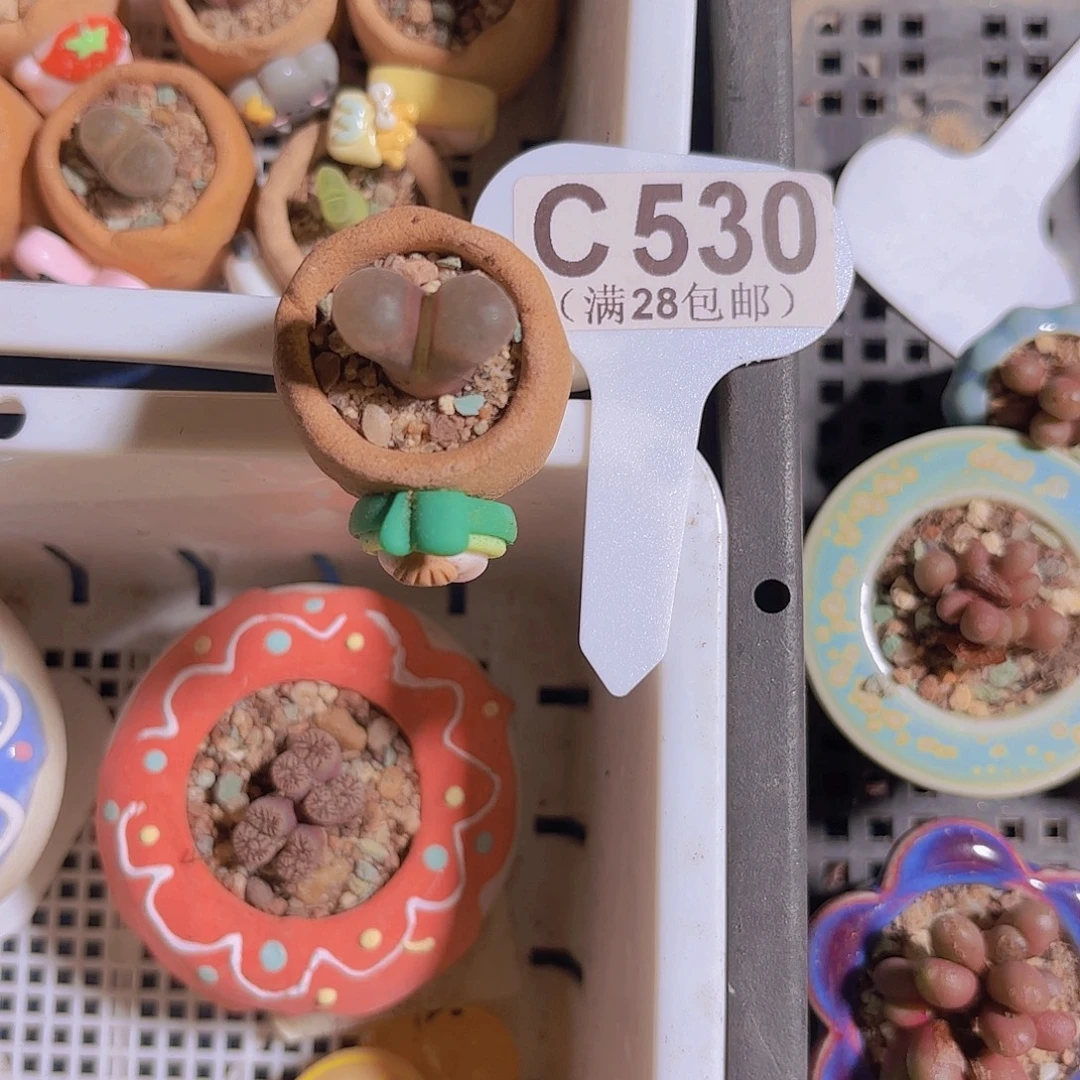 C530风铃一物一拍