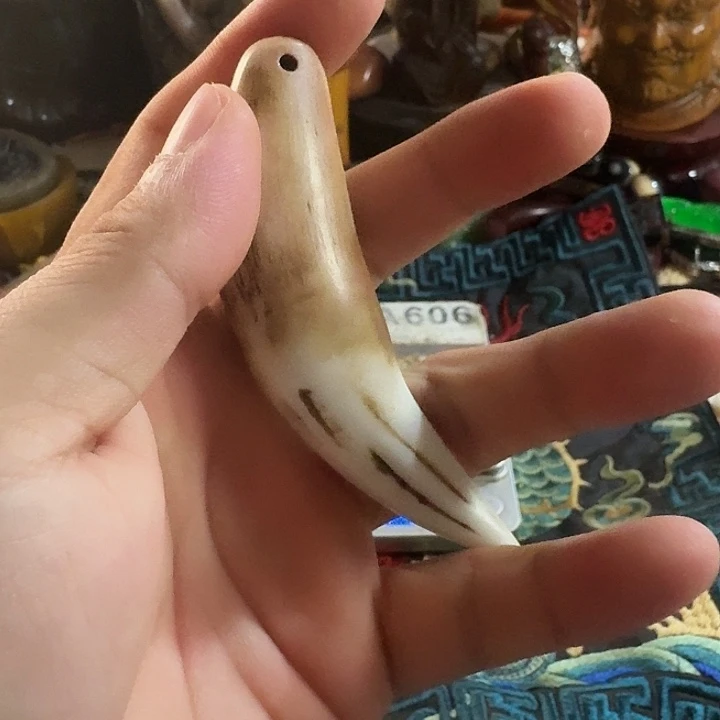 大哥专拍链接一号