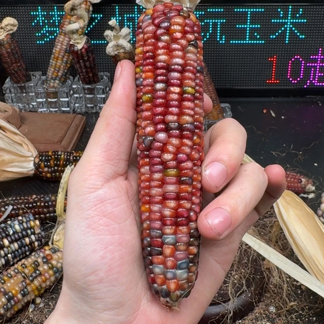 柏香籽/百香籽吊坠岐**-