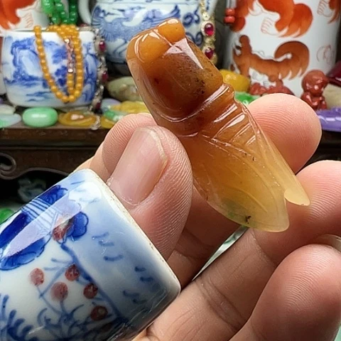 瓷片实实在在进来看看