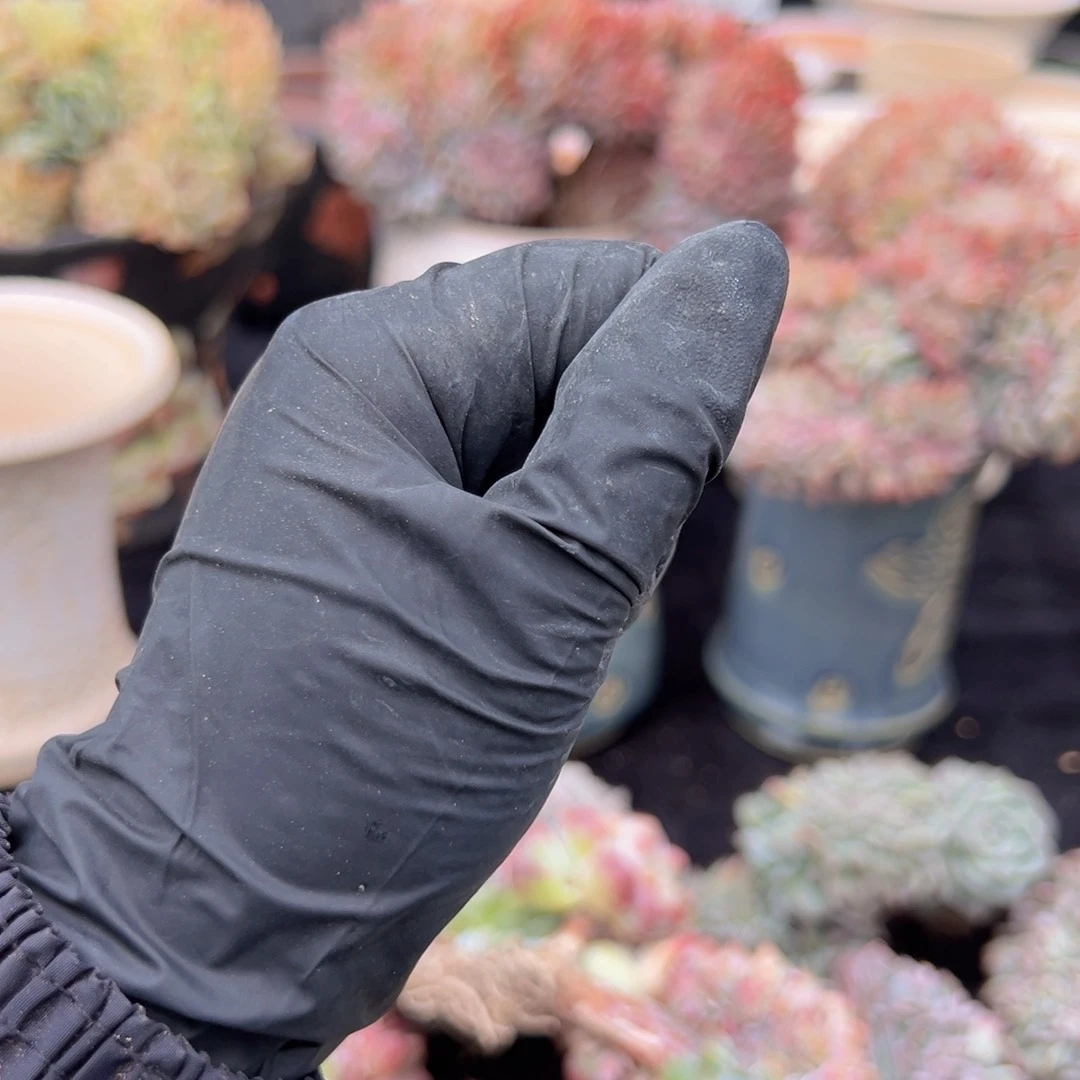 酷**车新年快乐分开上