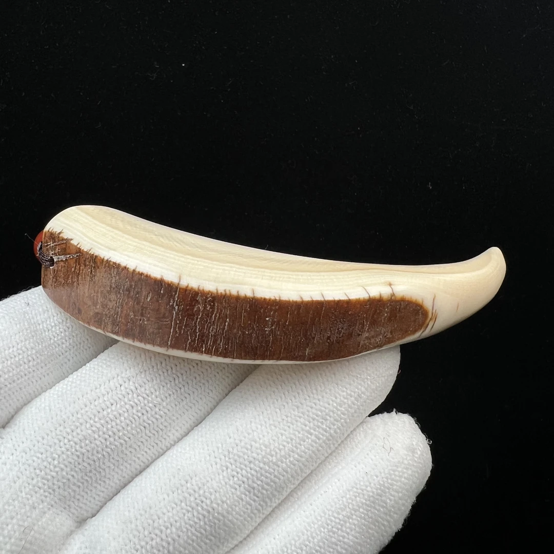 L1027天然猛犸牙牙尖201mm支持鉴定 假一罚四