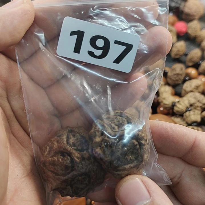 文玩核桃吊坠t****6文玩核桃