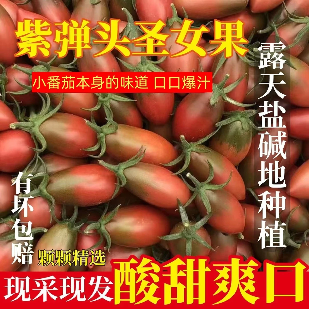 【京东】盐碱地紫弹头小番茄圣女果小柿子小西红柿新鲜现摘孕妇水果