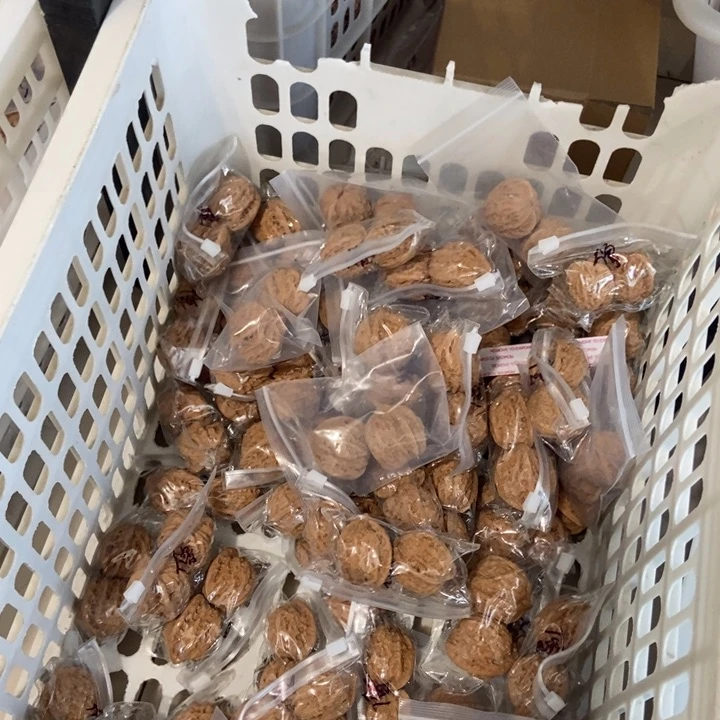 吊坠文玩核桃僧帽瑕疵