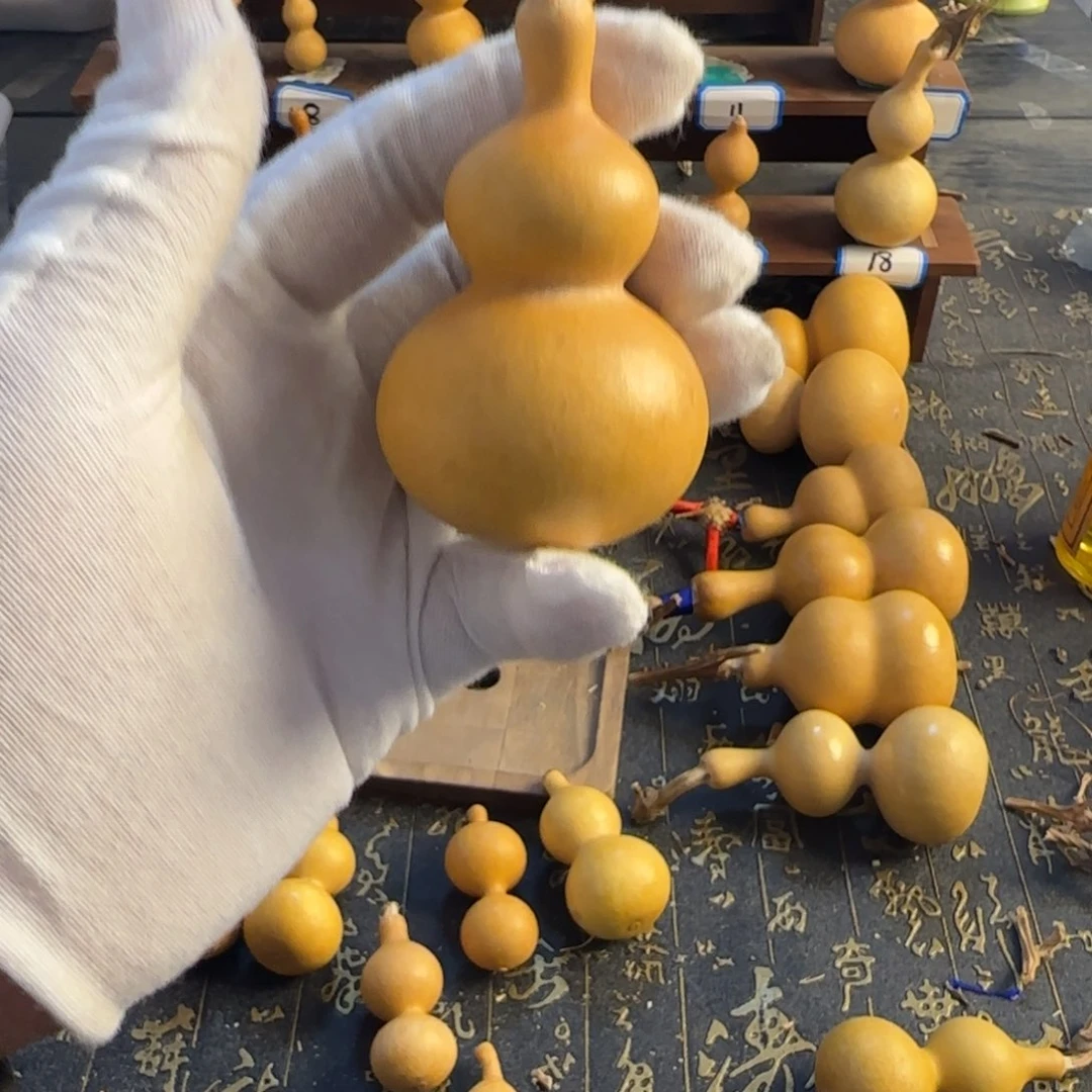 微*哈哈哈哈哈哈哈哈哈哈