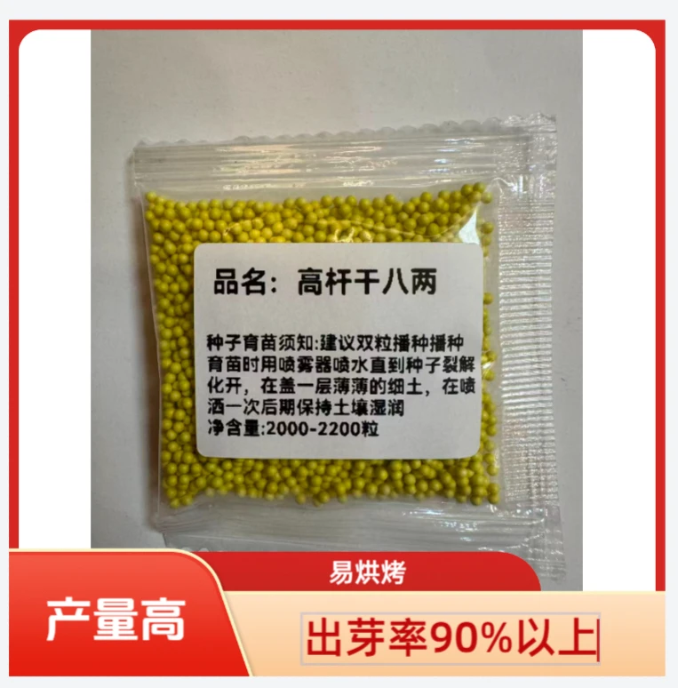 丸粒高产：高杆干八两，耐肥，好烤