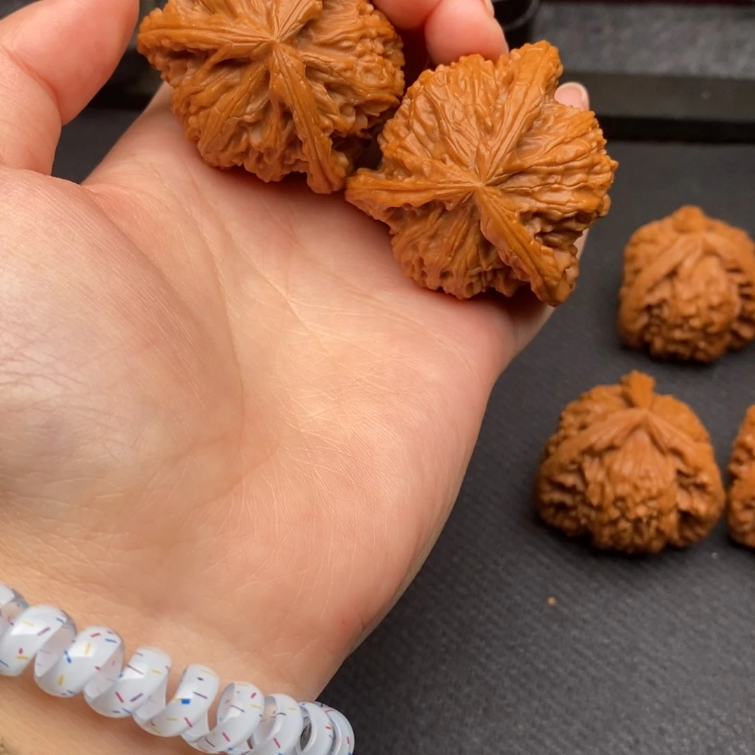 猜****@白狮子11111111