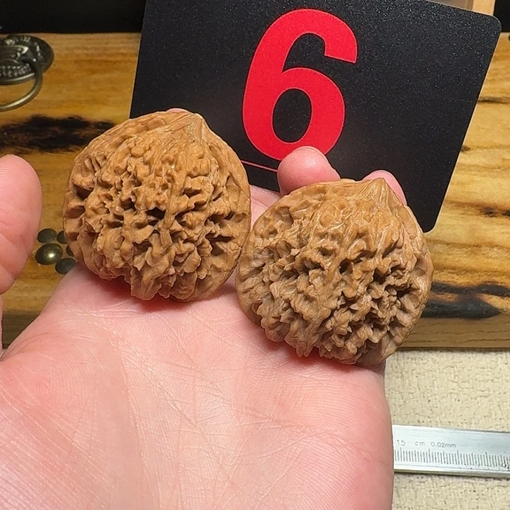 文玩麻核桃41尺寸满天星