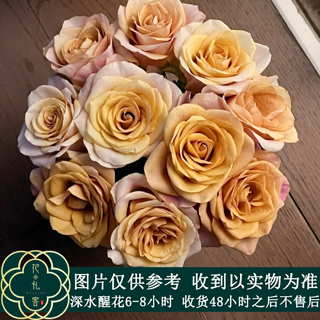 七叶花坊# 【金芥末】鲜花优选 顺丰直发