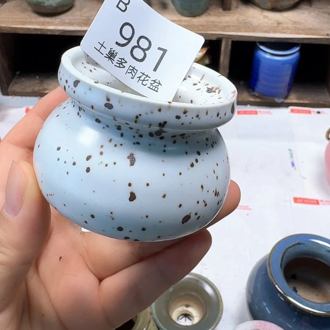 大***子陶瓷工艺品设计与制作