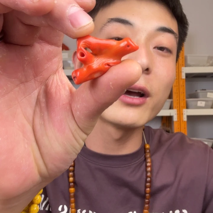 大果紫檀（缅甸花梨）C176