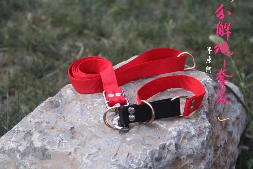 草原阿爸狗脖圈牵引绳狗脖套遛狗绳格力灵缇惠比特细狗阿富汗项圈
