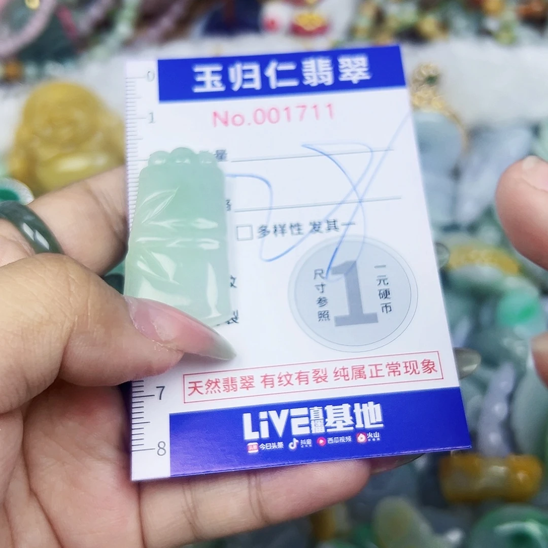 翡翠未镶嵌吊坠(不含链)11