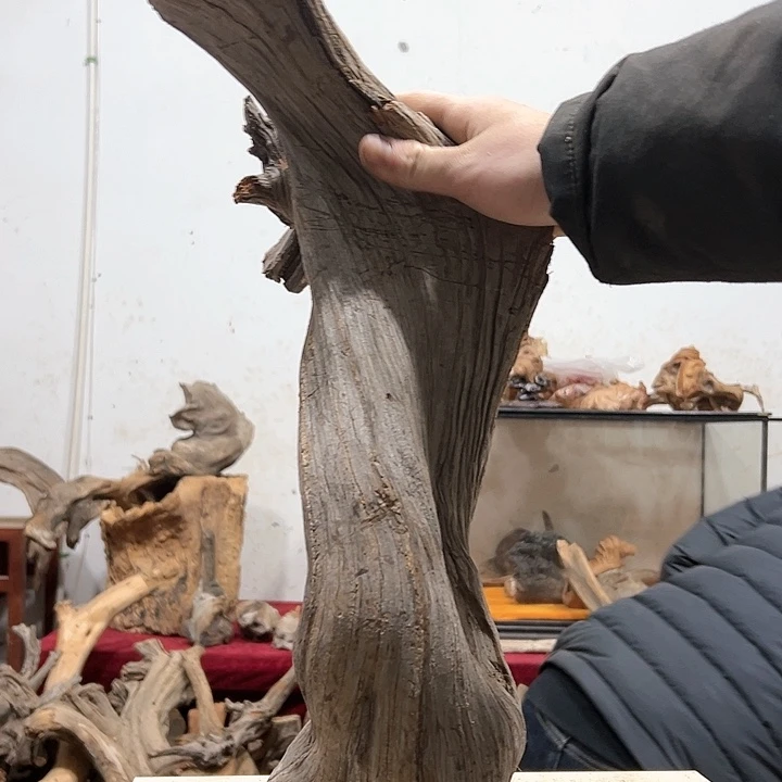 柏木山*工我们的生活也会越来越美好