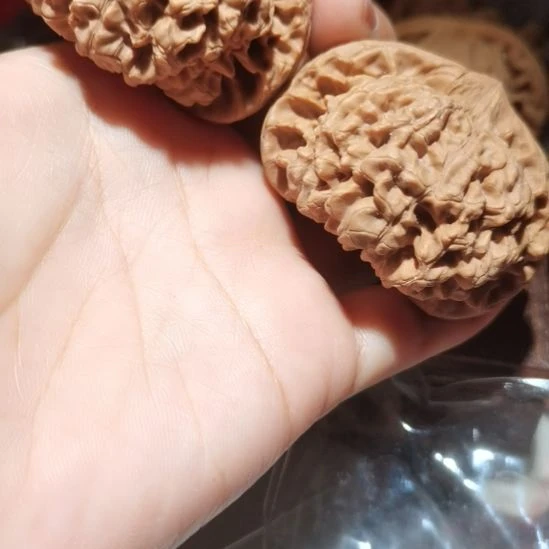猴头核桃吊坠帅***达52龙鼎官帽