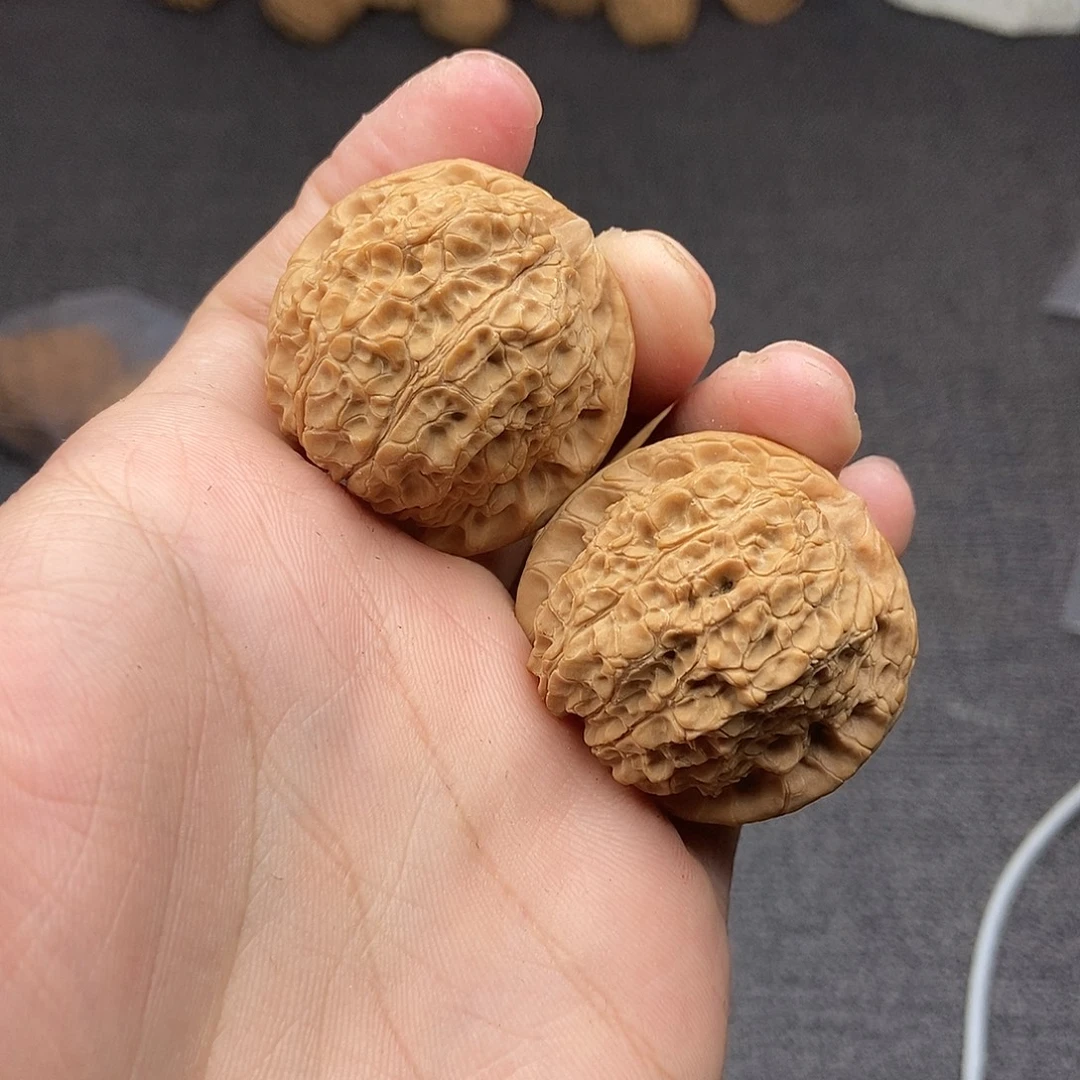 核桃血麒麟37尺寸编号042