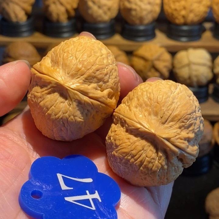 铁核桃聚龙珠42尺