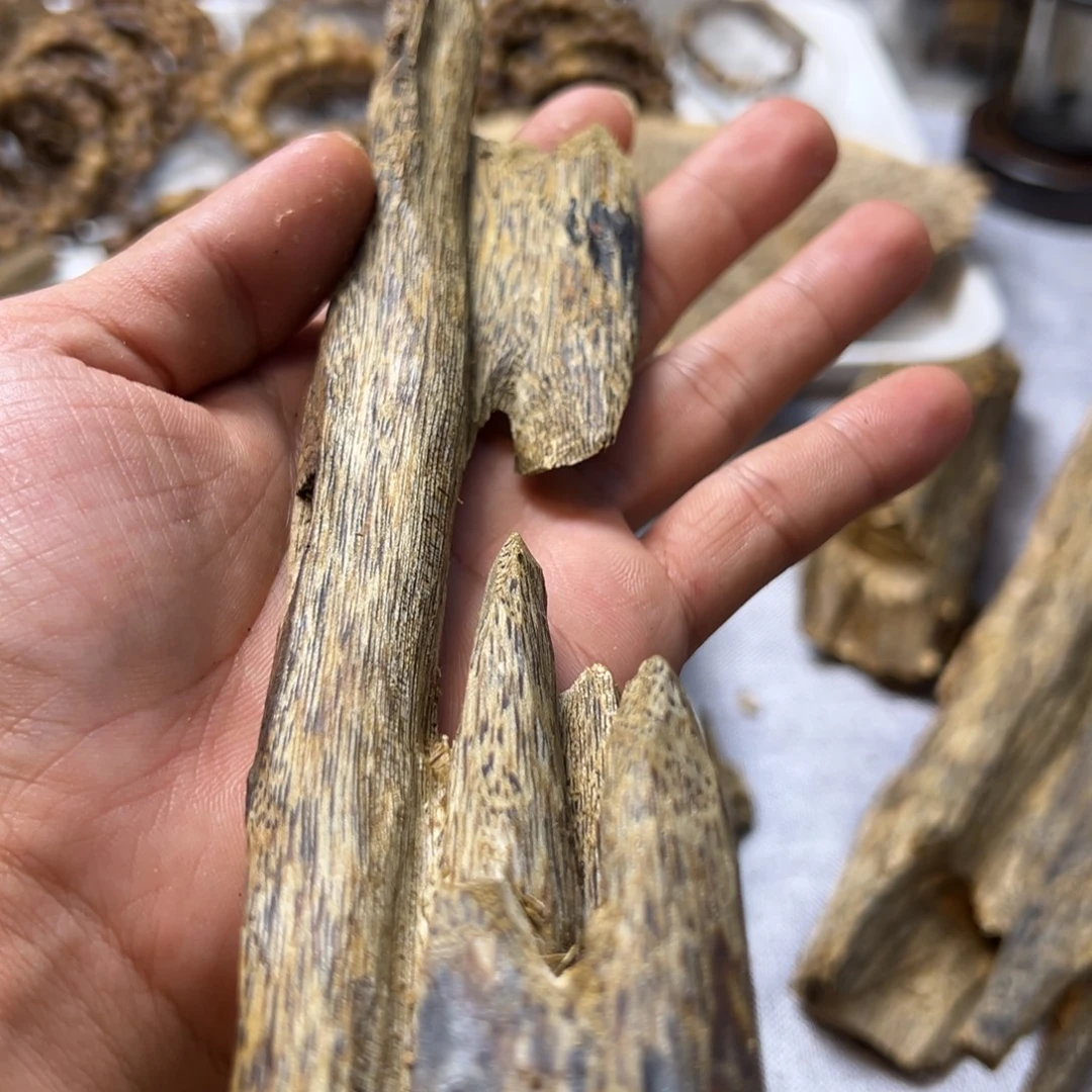 沉香沉香碎屑虫漏透顶绿37.8克