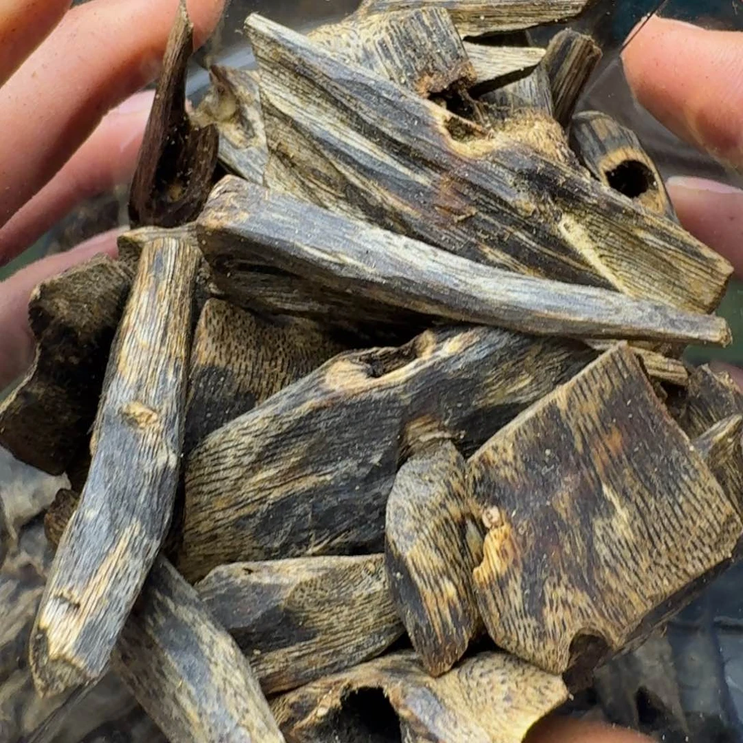 沉香手把件海南陆河老块料122克