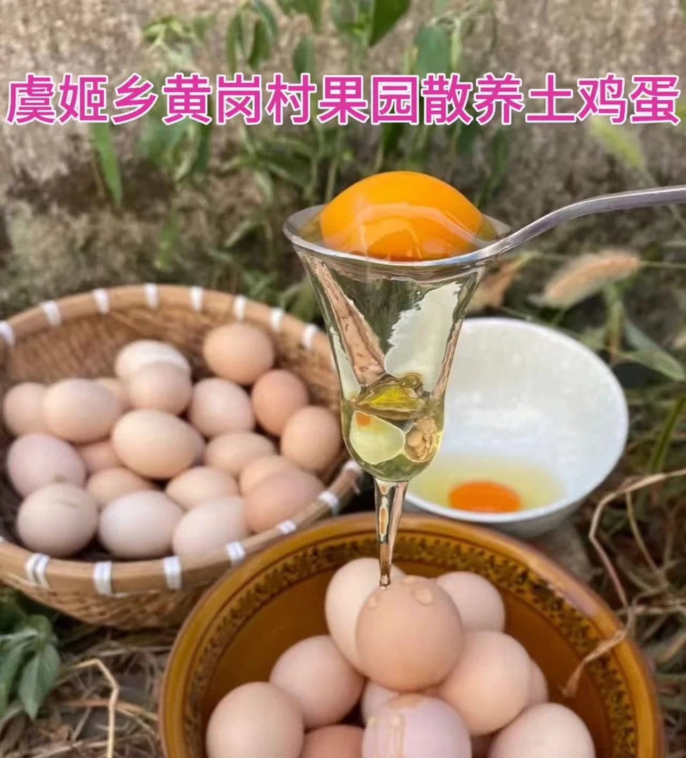 顺丰/京东【50枚土鸡蛋】虞姬乡黄岗村新鲜土鸡蛋散养农村正宗