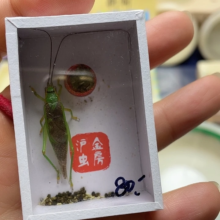 Z***Z霍氏随单补差价啊啊啊啊啊