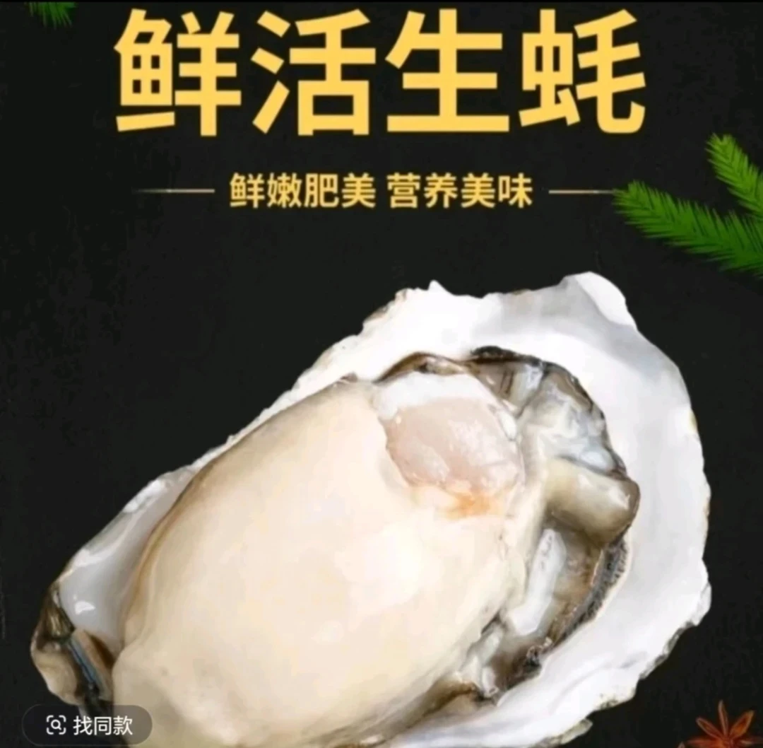 【只发新疆包邮】超大个正宗乳山生蚝蚝王高品质拍5送1共2.5公斤