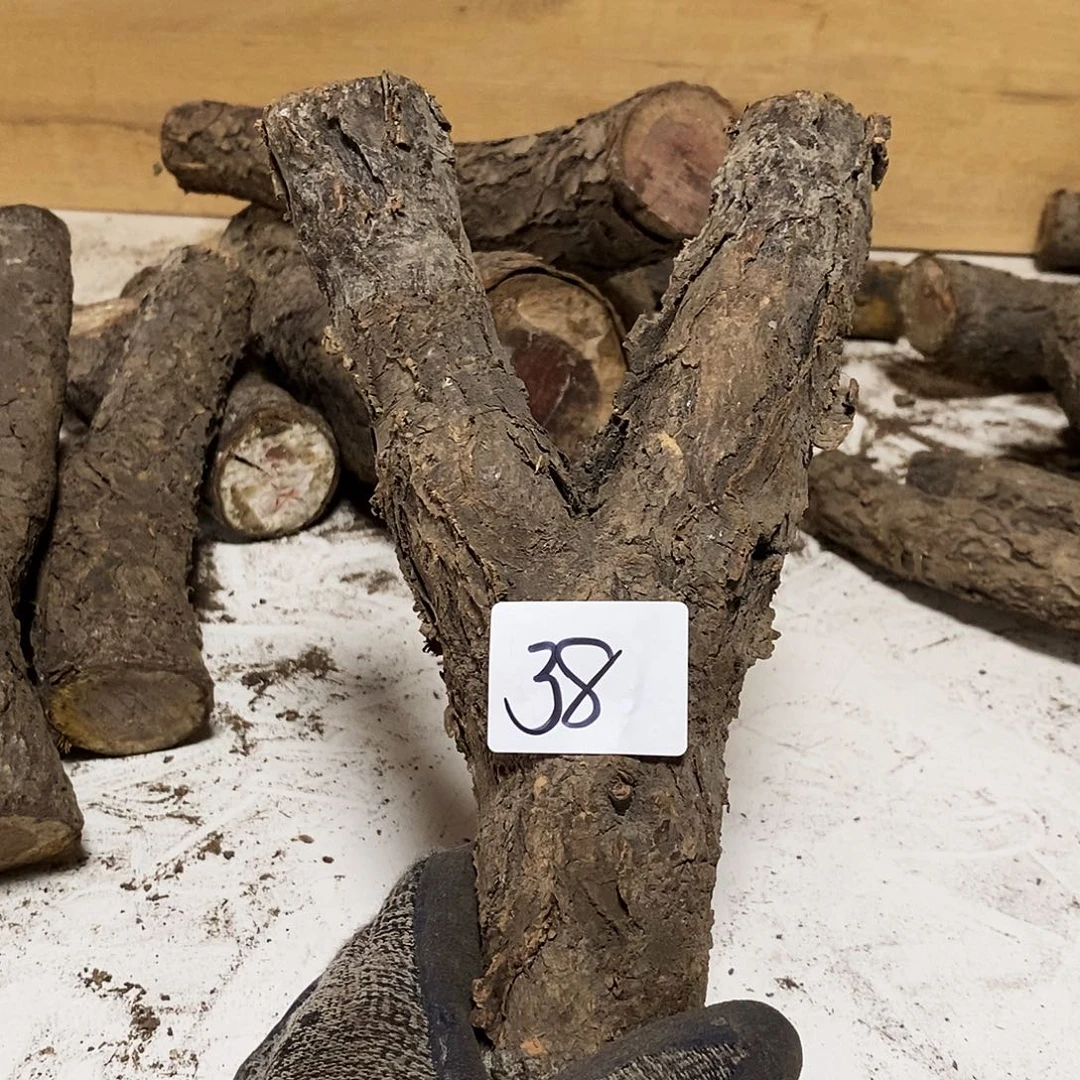 木蒹*火琉璃……火琉璃