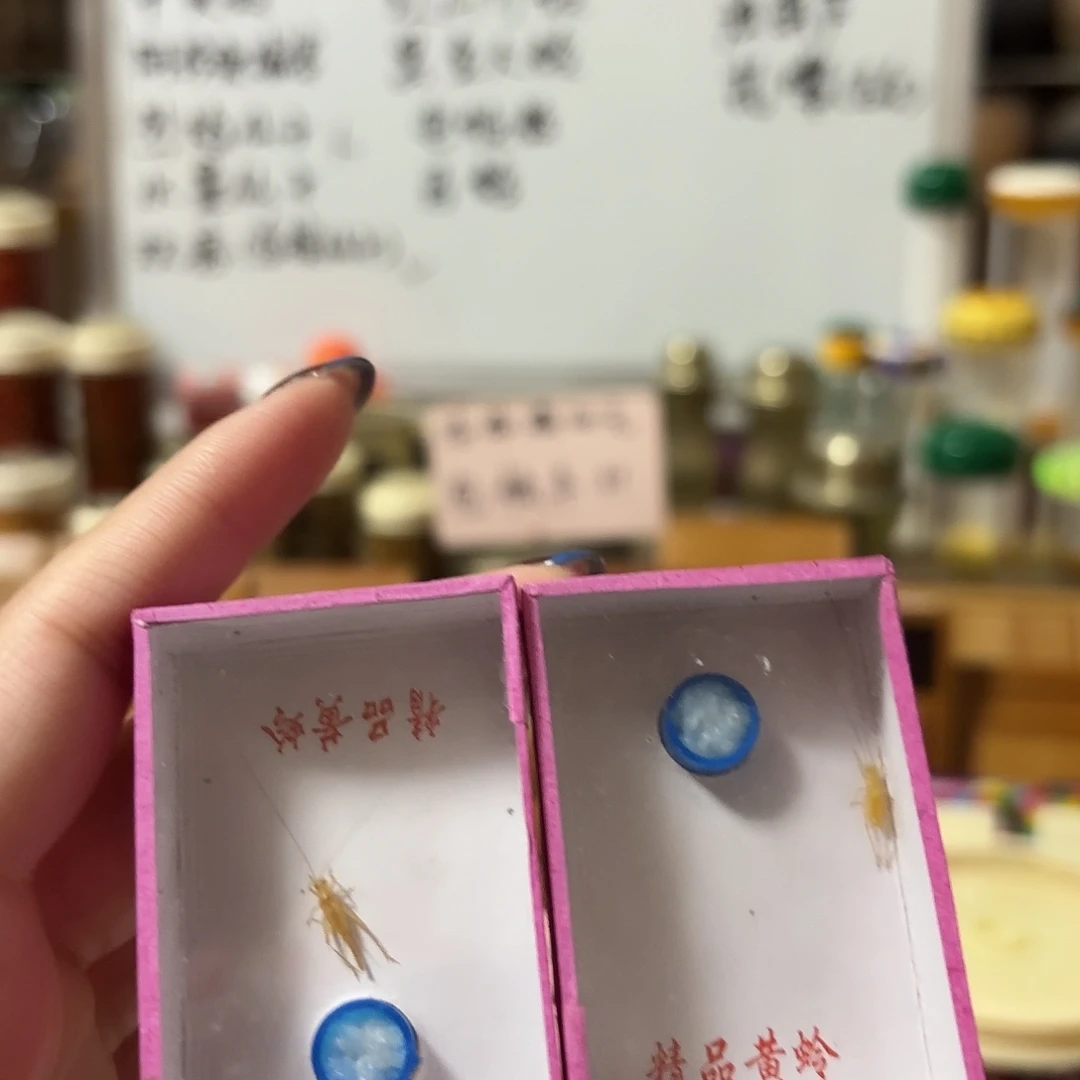 两条高山小黄不包断须尾