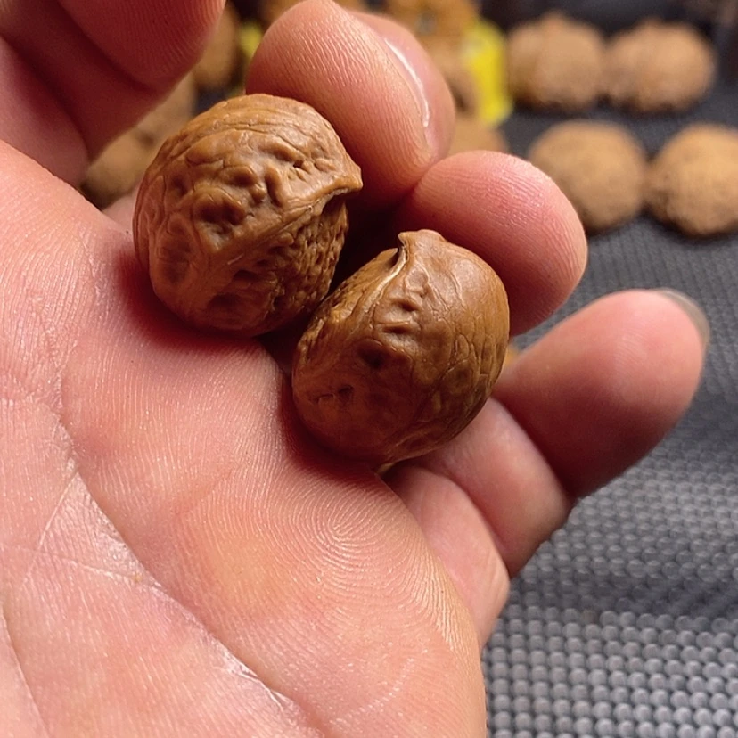 【闪购商品】文玩核桃吊坠就*玩精品课程的教学与