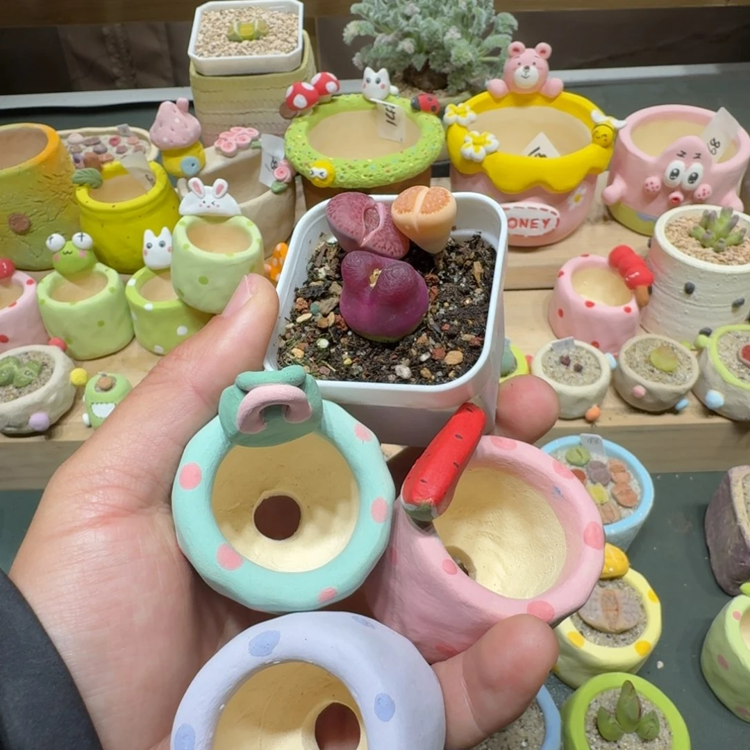 红陶酒****?蘑菇215花和花盆