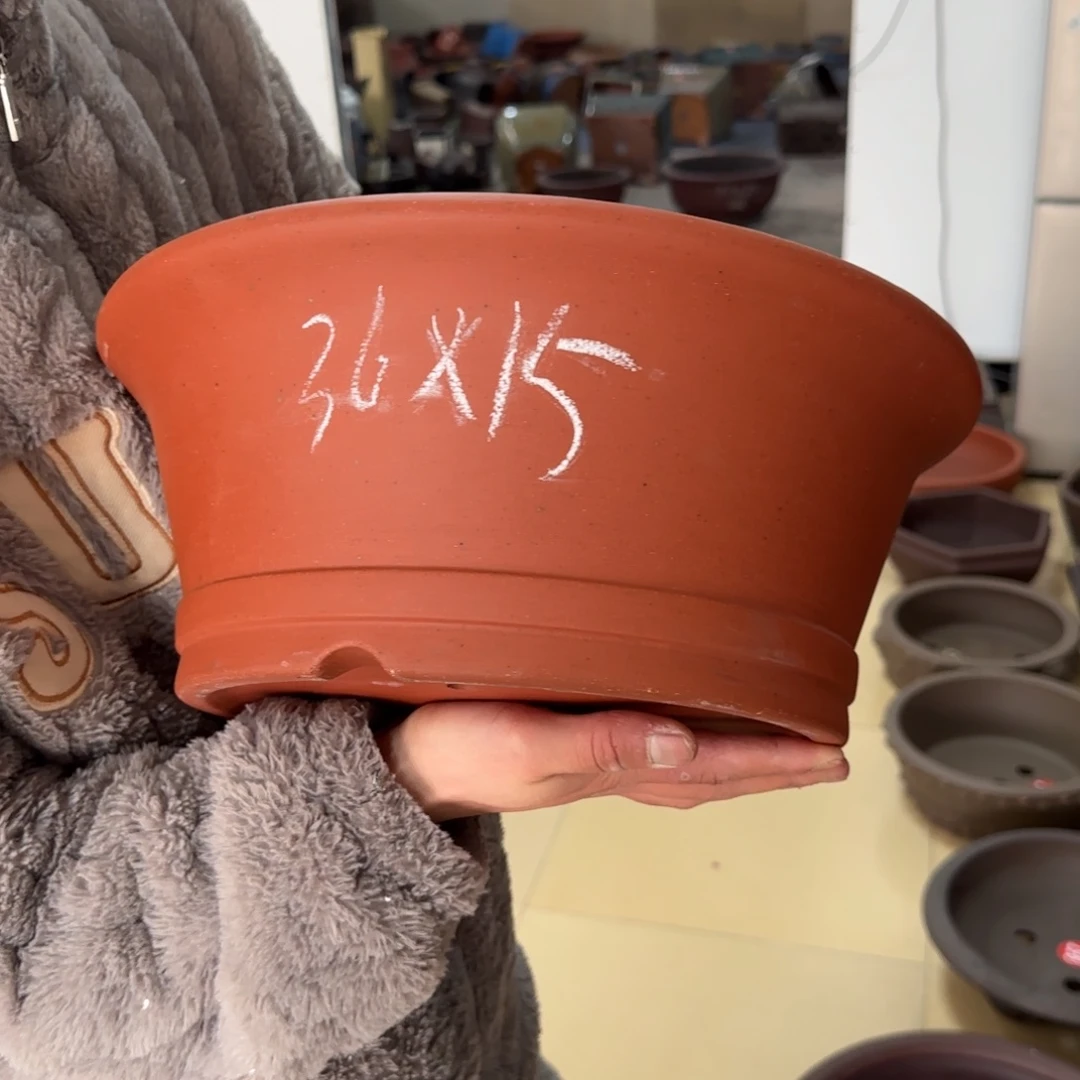 紫砂花盆呜呜呜呜