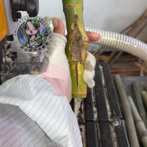 啾***实心竹竹竹竹竹竹竹竹竹