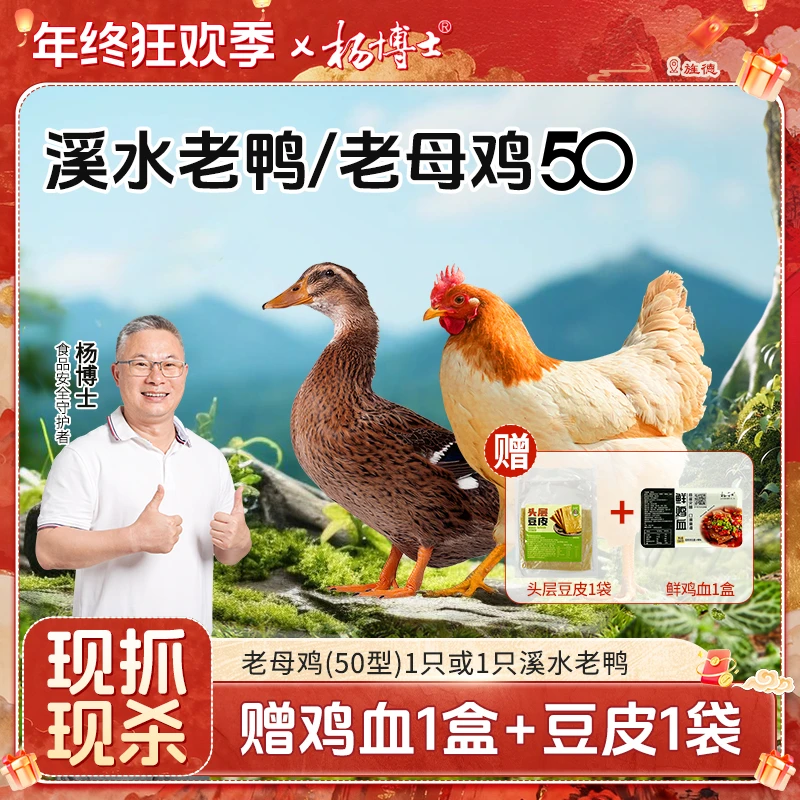 【1只老母鸡或老鸭】杨博士皖南土鸡深山散养煲汤红烧 包冰率不含冰