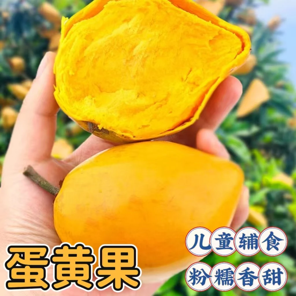 当季大鸡蛋果稀缺蛋黄果粉糯香甜绵密不卡颈儿童辅食甜品水果包邮