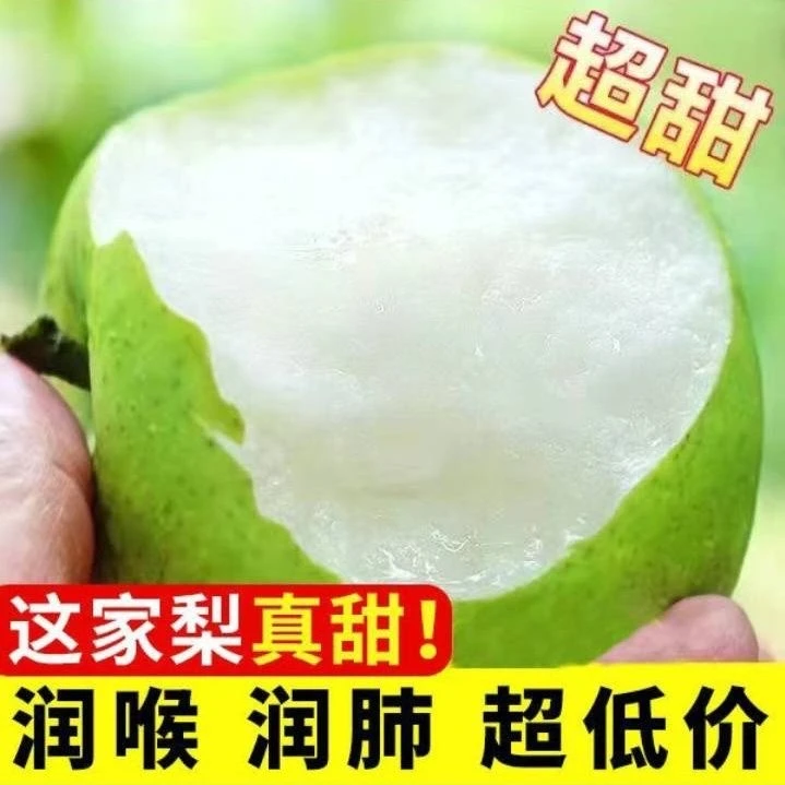 砀山皇冠梨 产地直发