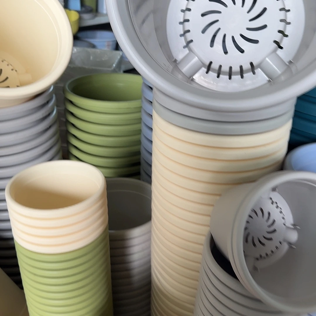 树脂四季6号无托7个灰白微瑕