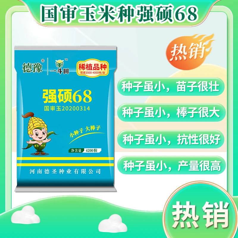 国审正品强硕68玉米种子 高产抗旱 4200粒玉米种 丰收耐旱抗倒伏