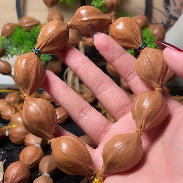 橄榄核手串/手链2.3鹦鹉手持9