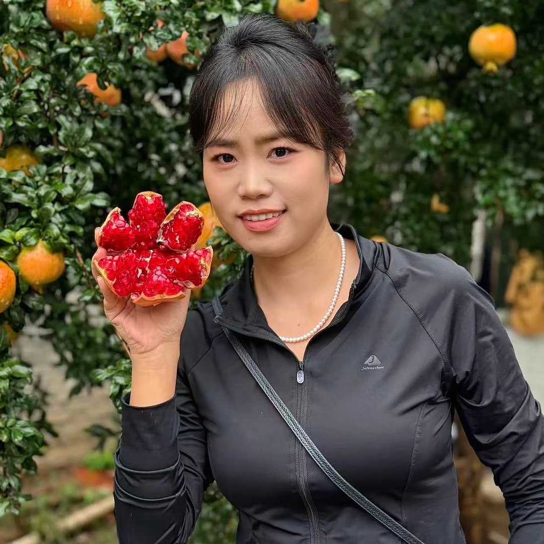 【顺丰快递】会理突尼斯软籽石榴 树上自然熟挑采果