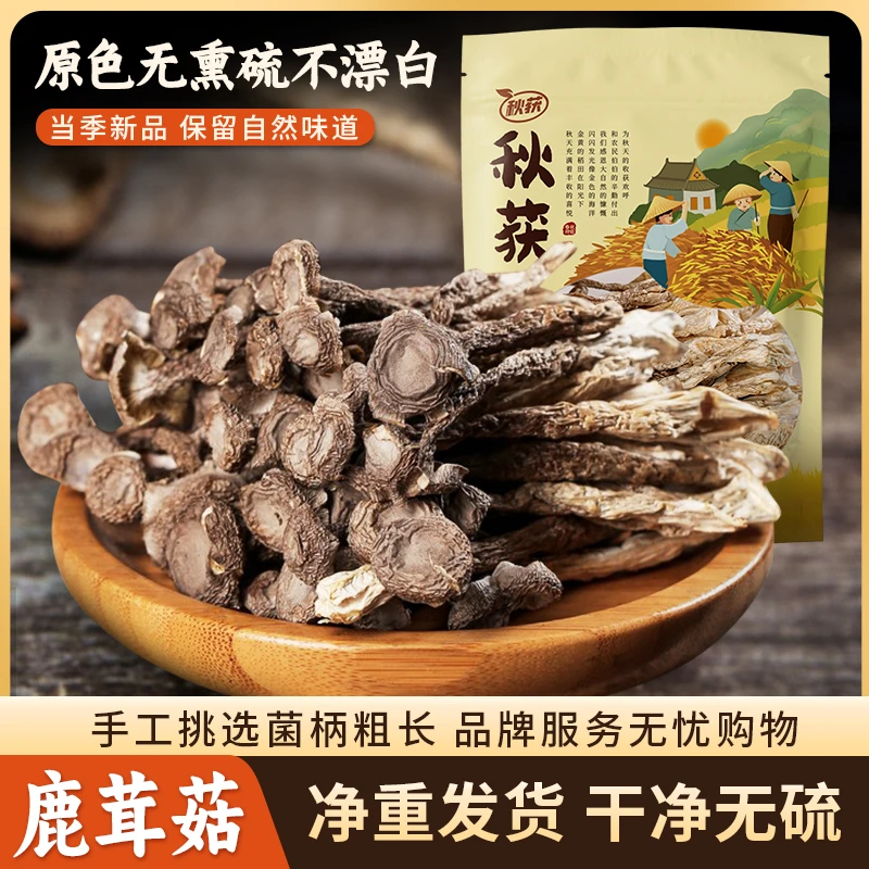 秋获【赠品：鹿茸菇】当季新货产地干货无熏硫土特产菌菇汤批发