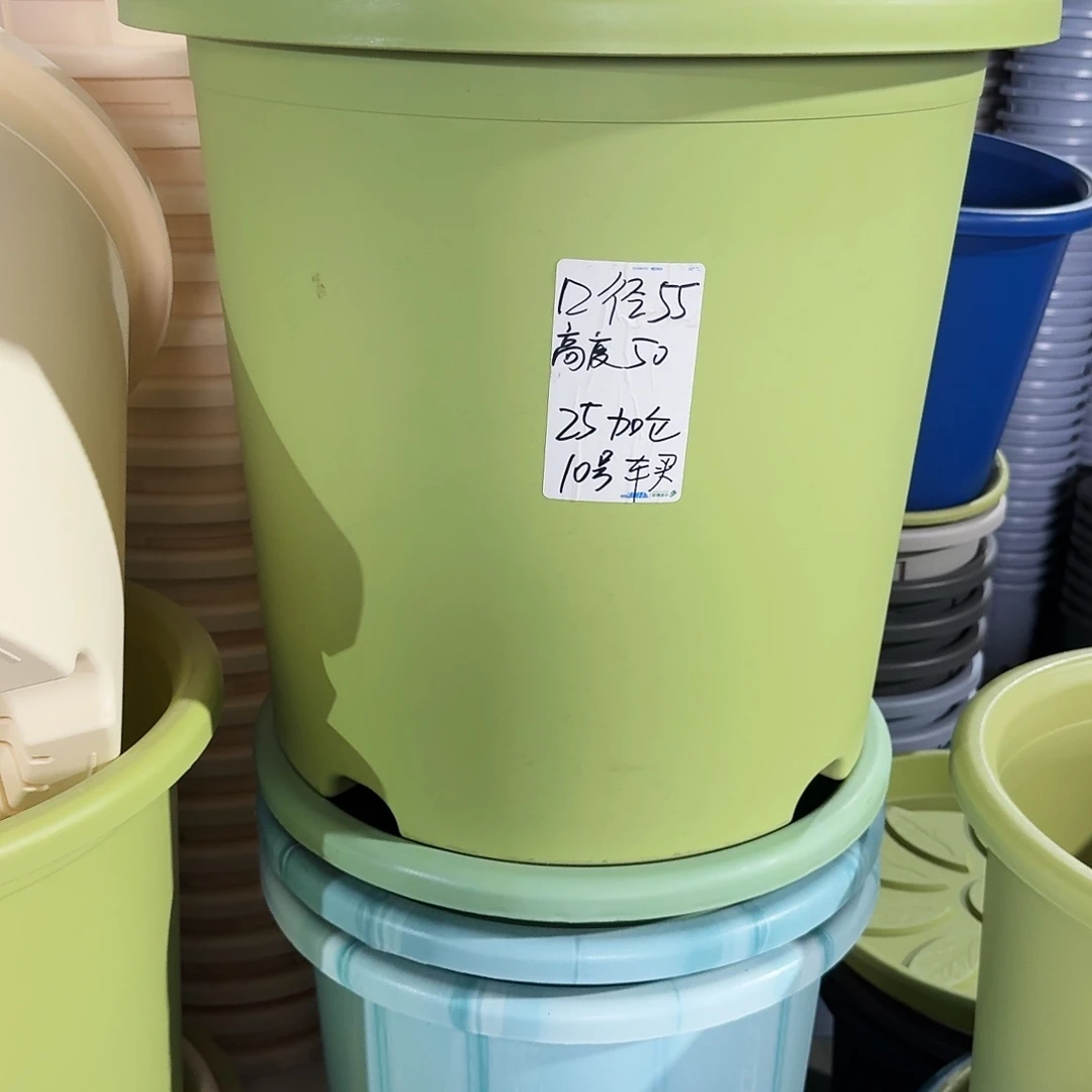 微瑕55口无拖果绿2个