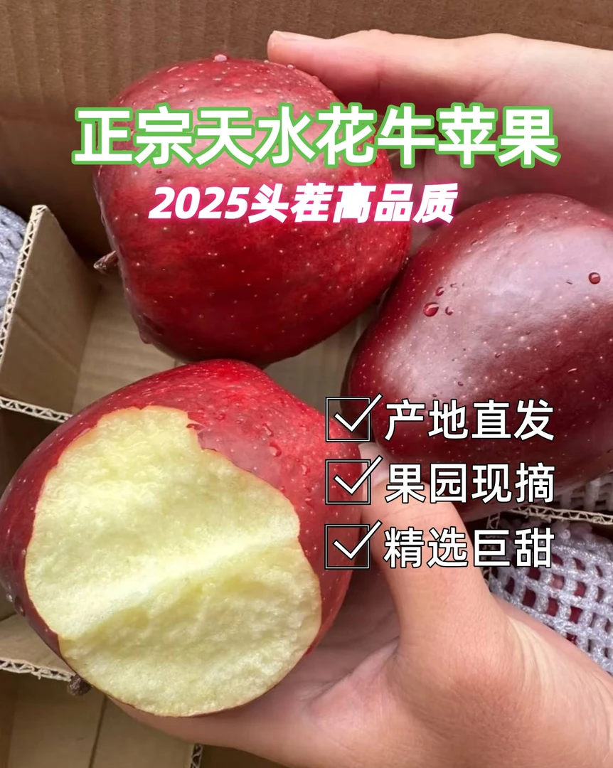 （花牛直播）正宗天水花牛苹果一果两吃产地直发新鲜水果甜苹果
