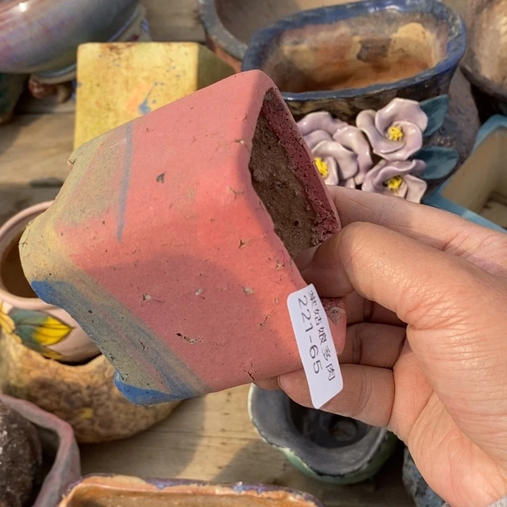 红陶韩***肉65号多肉盆一个呀