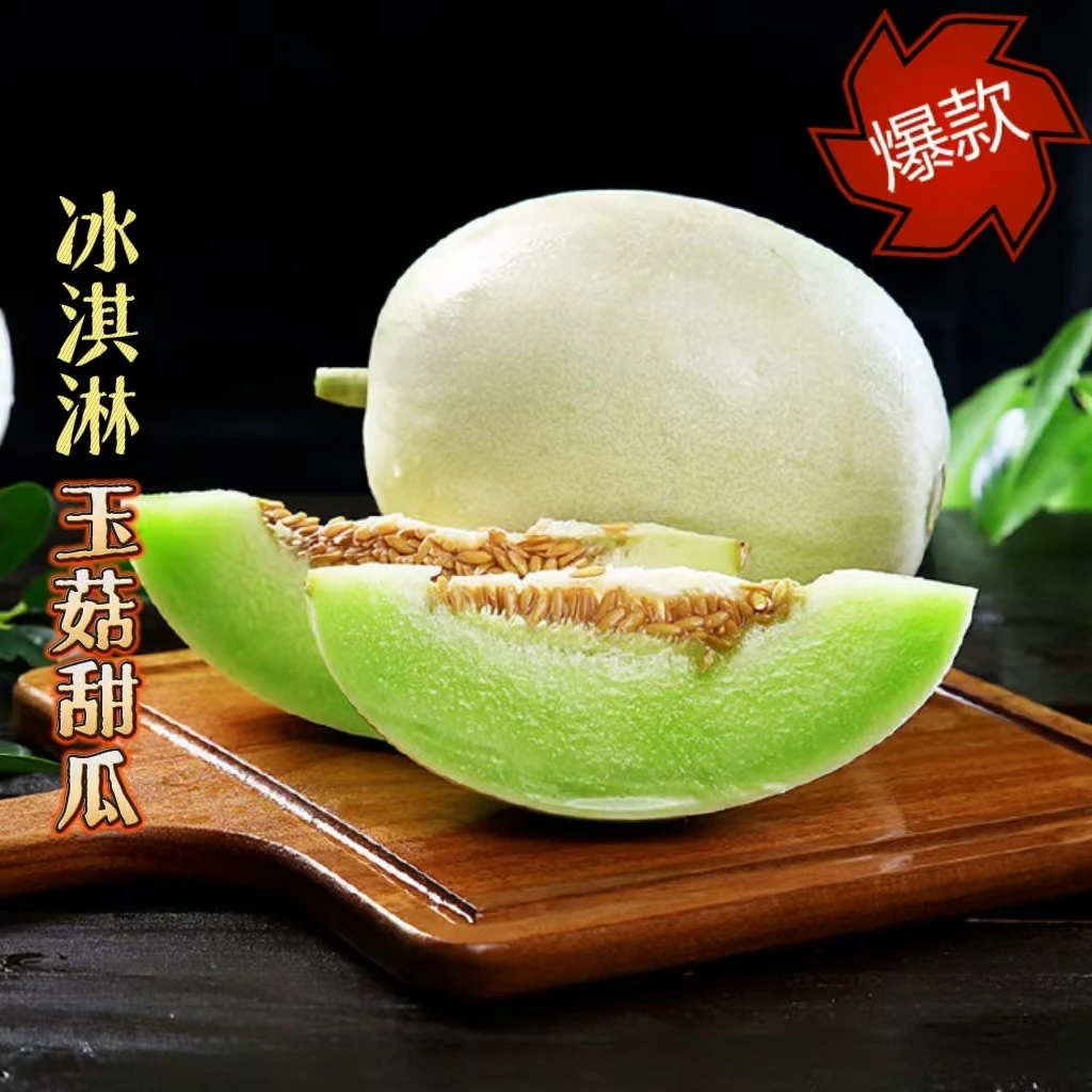 山东头茬玉菇甜瓜4.5-5斤冰激凌甜瓜新鲜应季水果老人小孩孕妇hh
