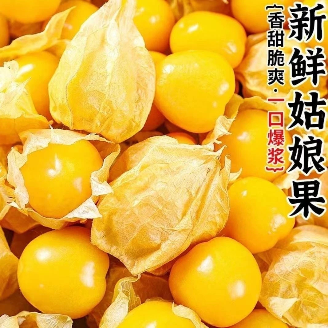 2025年头茬东北姑娘果带箱1斤新鲜现摘LM