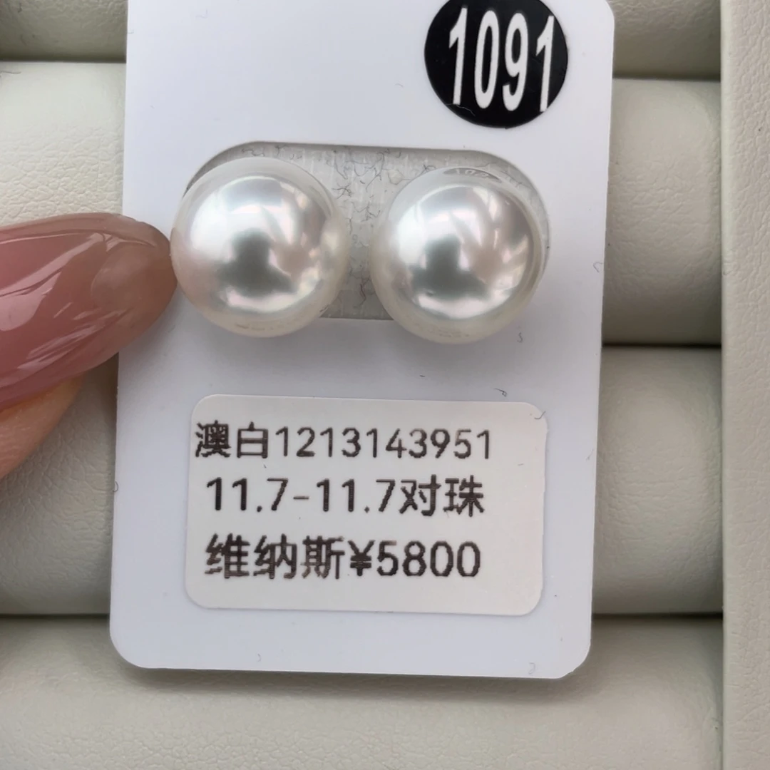 定制海水珍珠未镶嵌耳饰澳白维纳斯11.7-11.7mm