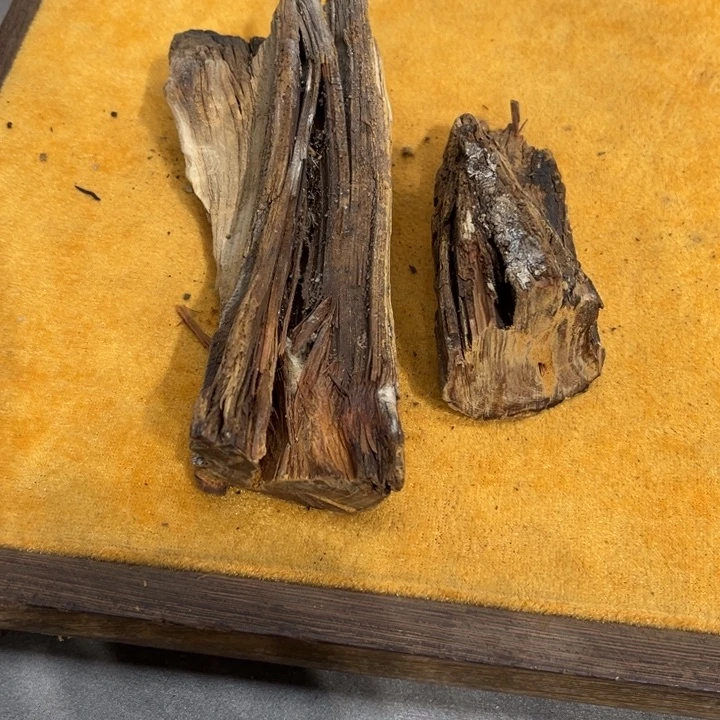 止***安柏木我也不知道我为什么